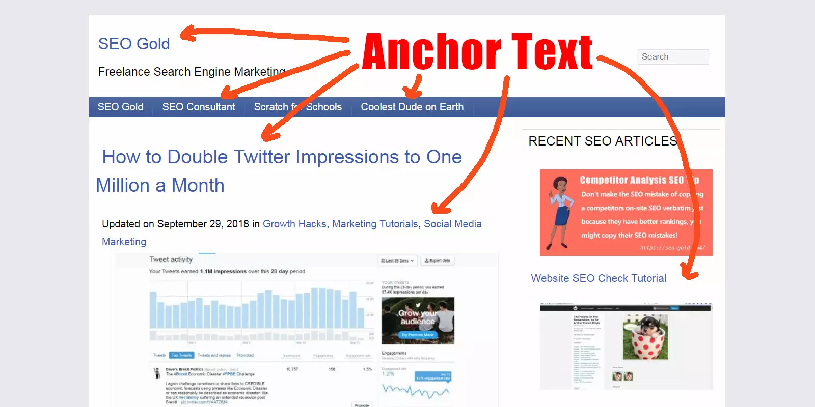 Anchor Text được phân thành nhiều loại khác nhau