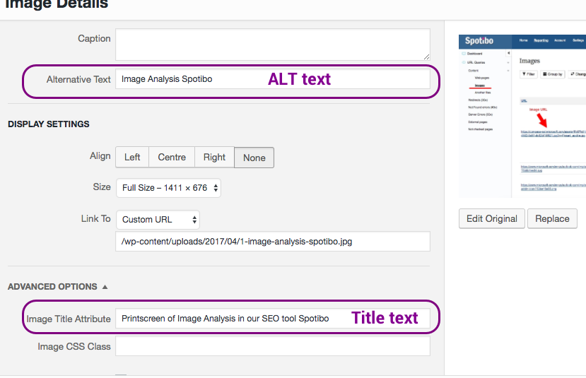 alt text và image title đều có chức năng tối ưu hóa hình ảnh